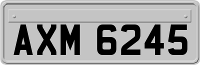 AXM6245
