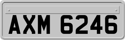 AXM6246