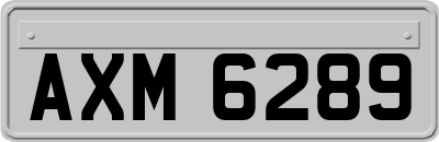AXM6289
