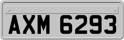 AXM6293