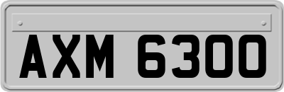 AXM6300