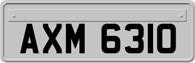 AXM6310