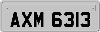 AXM6313