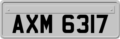 AXM6317