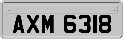 AXM6318