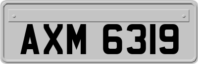 AXM6319