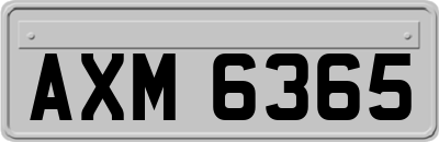 AXM6365