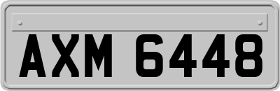 AXM6448