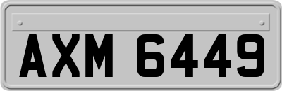 AXM6449
