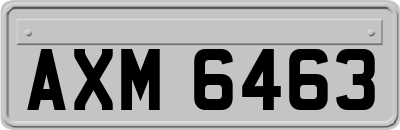 AXM6463