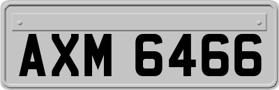 AXM6466