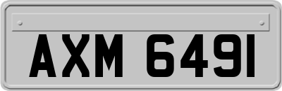 AXM6491