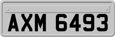 AXM6493