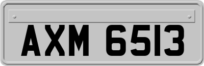 AXM6513
