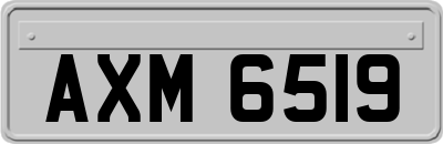 AXM6519