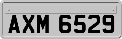 AXM6529
