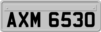 AXM6530
