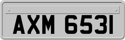 AXM6531