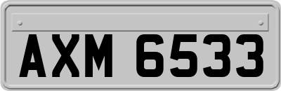 AXM6533