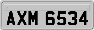 AXM6534