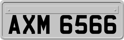 AXM6566