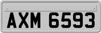 AXM6593