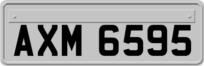 AXM6595