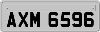 AXM6596