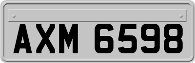 AXM6598
