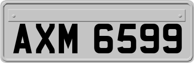 AXM6599