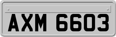 AXM6603