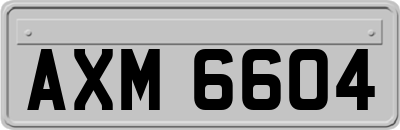 AXM6604