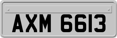 AXM6613