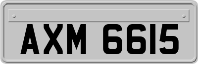 AXM6615