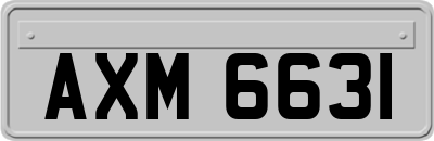 AXM6631