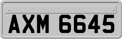 AXM6645