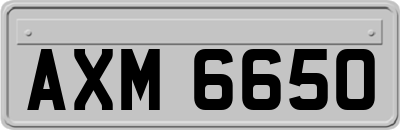 AXM6650