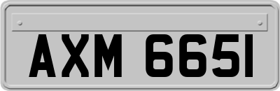 AXM6651