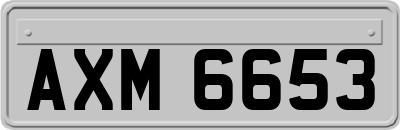 AXM6653