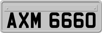 AXM6660