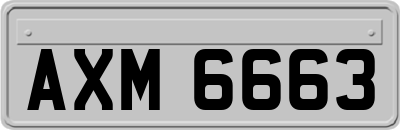 AXM6663