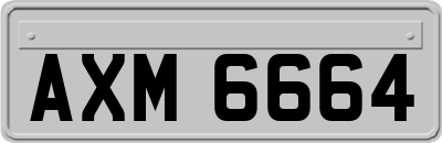 AXM6664