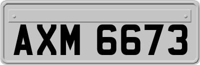AXM6673