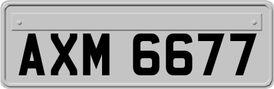 AXM6677