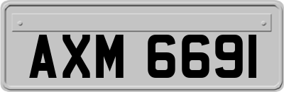 AXM6691