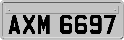 AXM6697