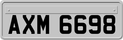 AXM6698