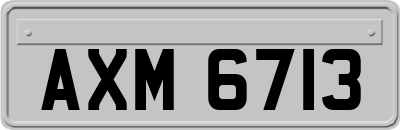 AXM6713
