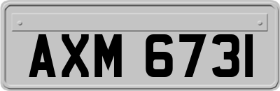 AXM6731