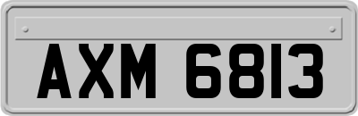 AXM6813